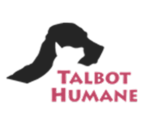 Community Engagement